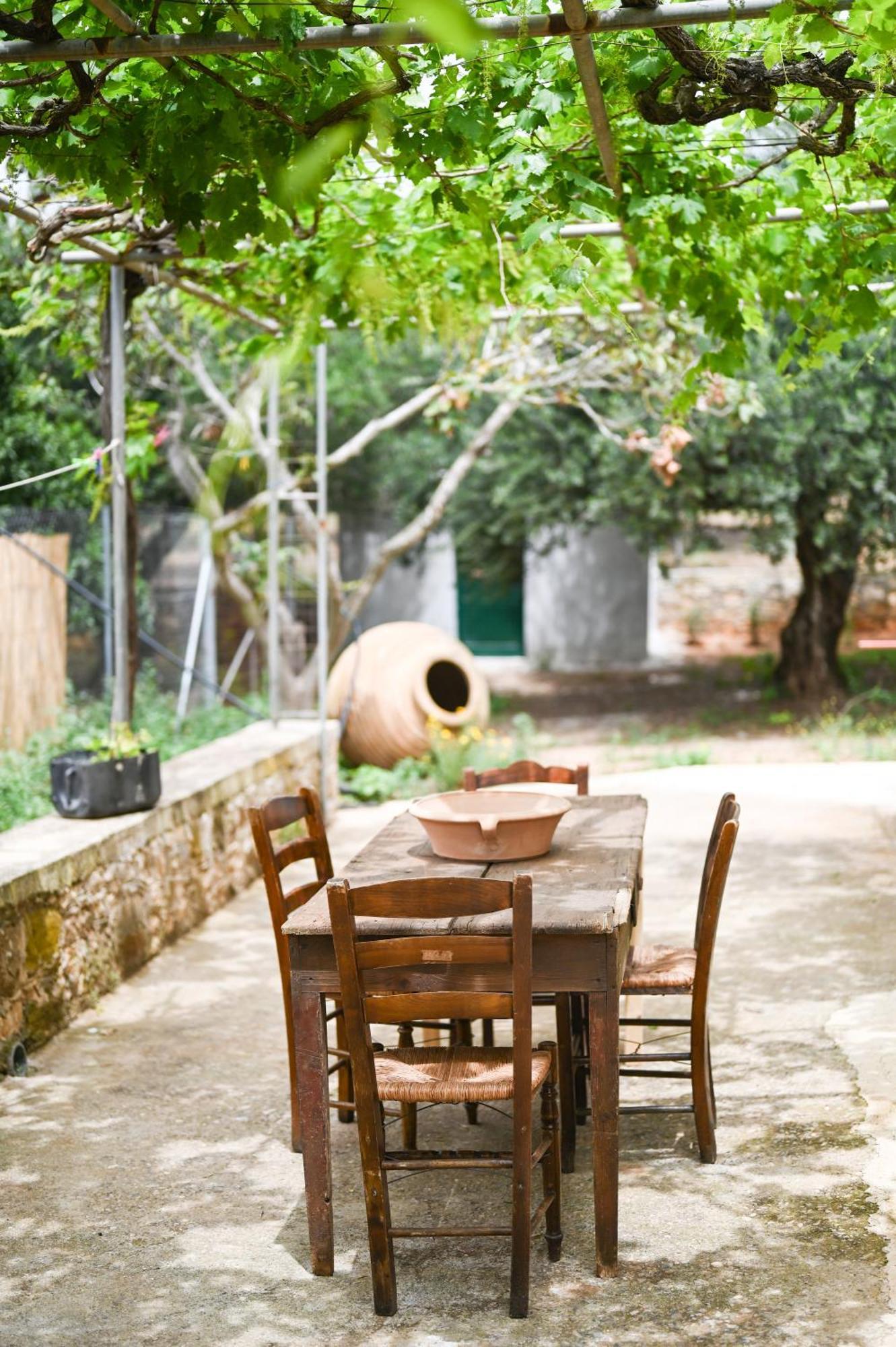 Oleopetra * Vromonérion